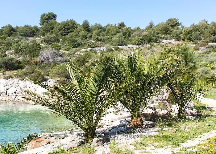 Vila Tatinja