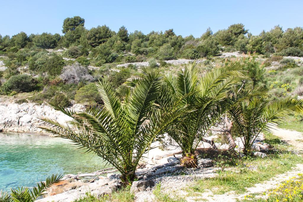 Apartment Tatinja Trogir
